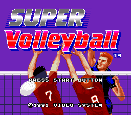 Download Volleyball Game PC Download Volleyball Game PC