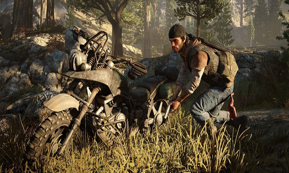 Download Days Gone PC Game Download Days Gone PC Game