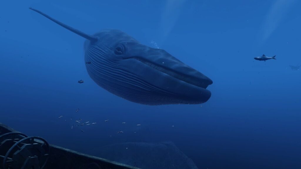 Blue Whale Suicide Game Apk