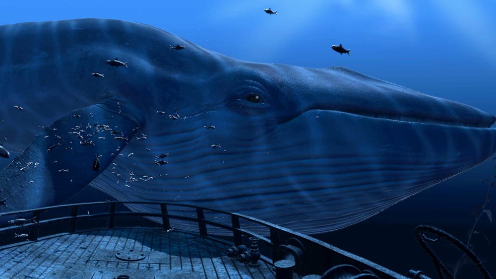 Download Blue Whale Suicide