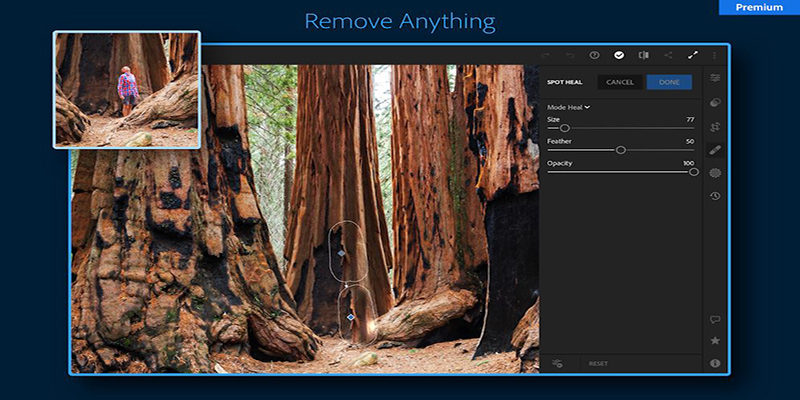Lightroom Photo & Video Editor Mod Apk Lightroom Photo & Video Editor Mod Apk
